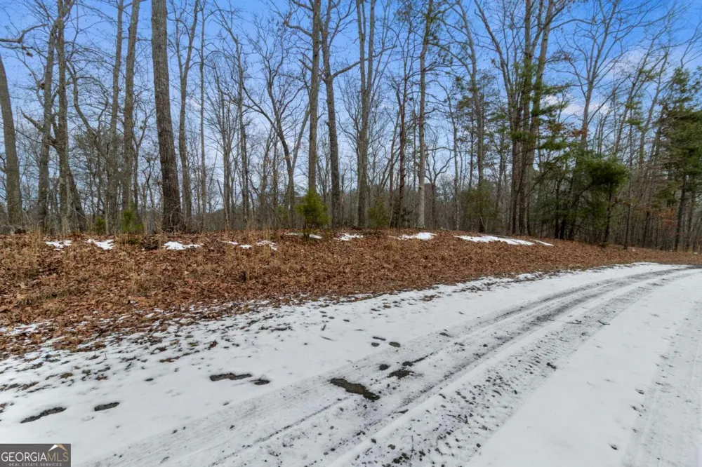 TR4 Curtis Ridge RD Blue Ridge, GA 30513