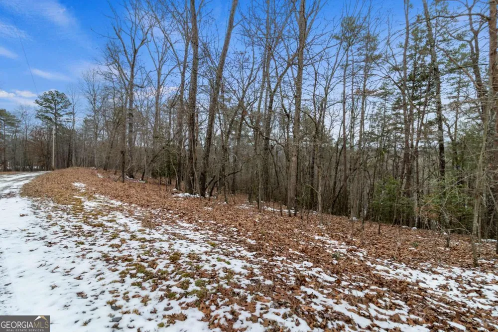 TR4 Curtis Ridge RD Blue Ridge, GA 30513