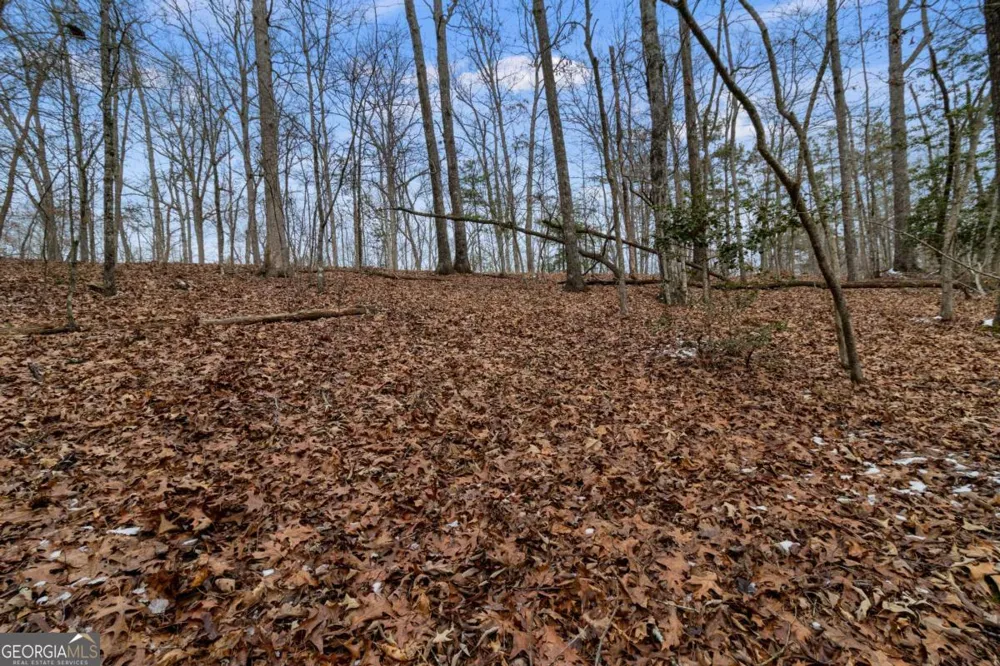 TR4 Curtis Ridge RD Blue Ridge, GA 30513