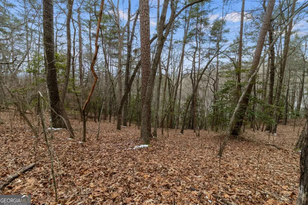 TR4 Curtis Ridge RD Blue Ridge, GA 30513