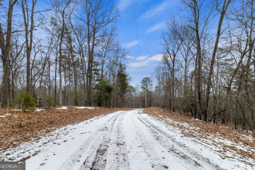 TR4 Curtis Ridge RD Blue Ridge, GA 30513