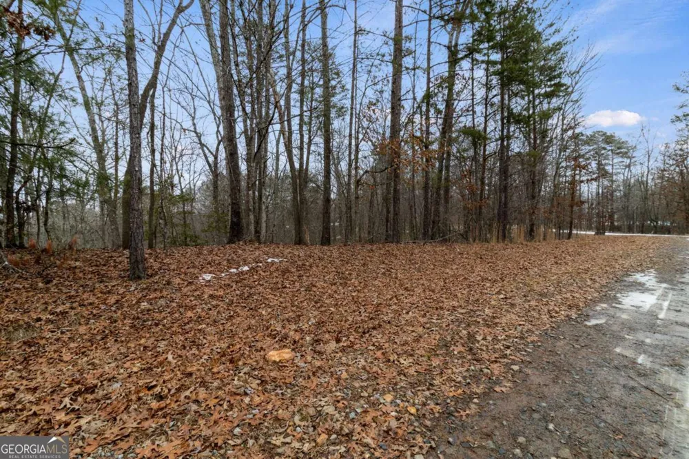 TR4 Curtis Ridge RD Blue Ridge, GA 30513