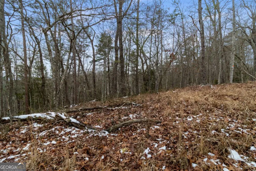TR4 Curtis Ridge RD Blue Ridge, GA 30513