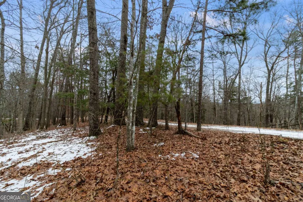 TR4 Curtis Ridge RD Blue Ridge, GA 30513