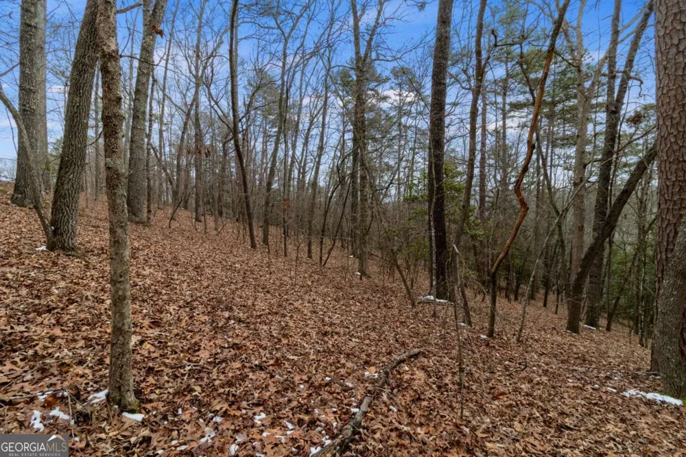 TR4 Curtis Ridge RD Blue Ridge, GA 30513