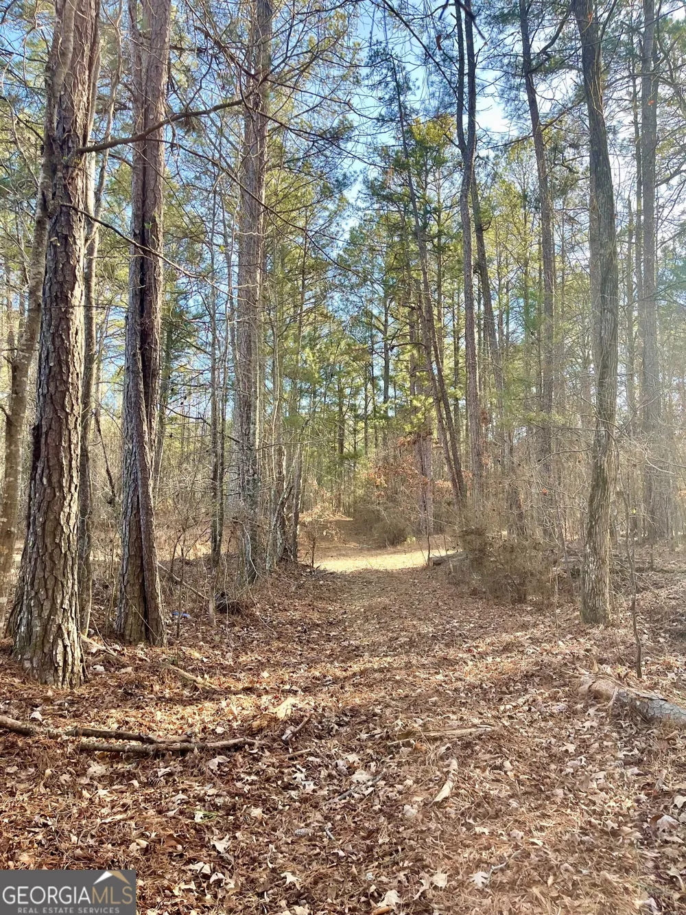 0 Padgett RD Senoia, GA 30276