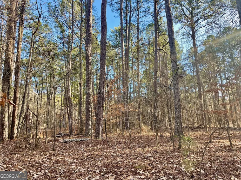 0 Padgett RD Senoia, GA 30276
