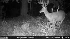 7596 Red Bud NE Ranger, GA 30734