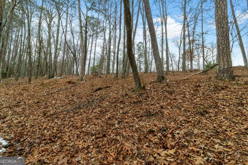 LOT 5 Curtis Ridge RD Blue Ridge, GA 30513