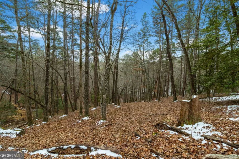 LOT 5 Curtis Ridge RD Blue Ridge, GA 30513