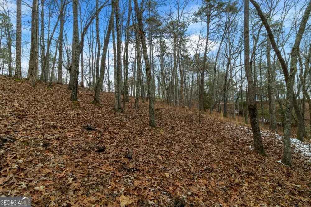 LOT 5 Curtis Ridge RD Blue Ridge, GA 30513