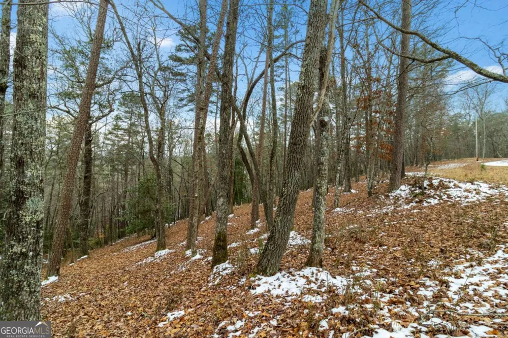 LOT 5 Curtis Ridge RD Blue Ridge, GA 30513
