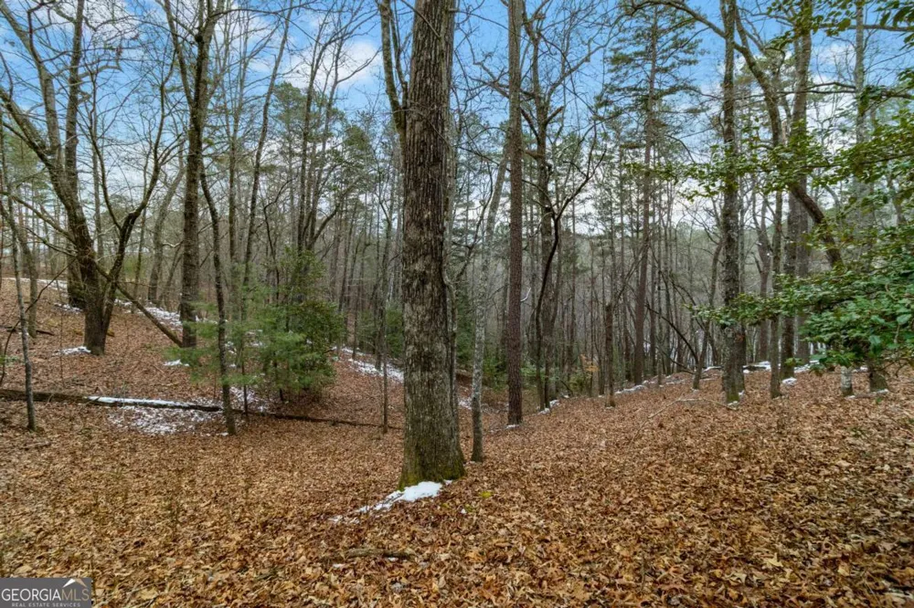 LOT 5 Curtis Ridge RD Blue Ridge, GA 30513