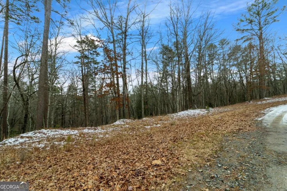 LOT 5 Curtis Ridge RD Blue Ridge, GA 30513