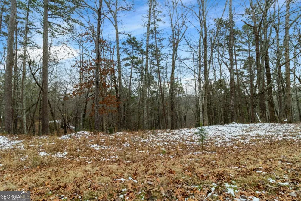 LOT 5 Curtis Ridge RD Blue Ridge, GA 30513