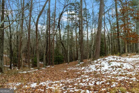 LOT 5 Curtis Ridge RD