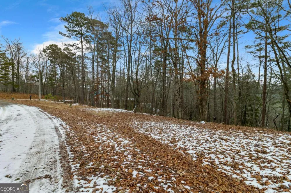 LOT 5 Curtis Ridge RD Blue Ridge, GA 30513