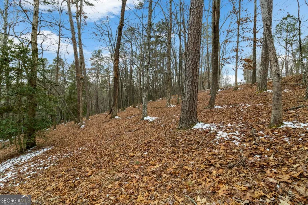 LOT 5 Curtis Ridge RD Blue Ridge, GA 30513