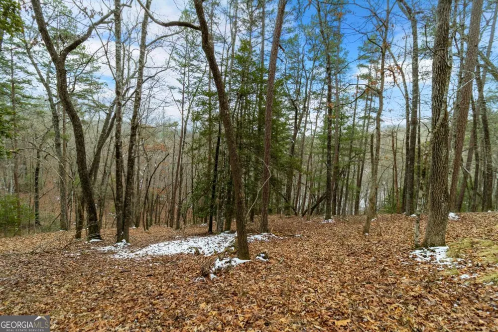 LOT 5 Curtis Ridge RD Blue Ridge, GA 30513