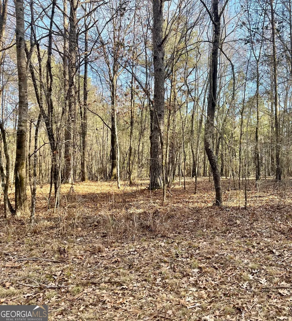 0 Padgett RD Senoia, GA 30276