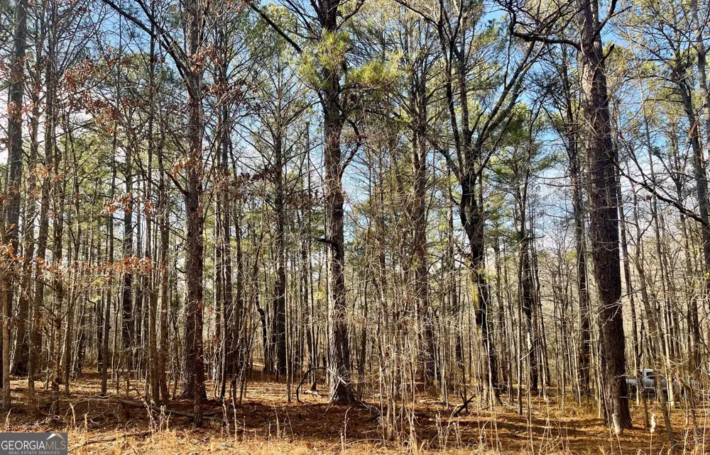 0 Padgett RD Senoia, GA 30276