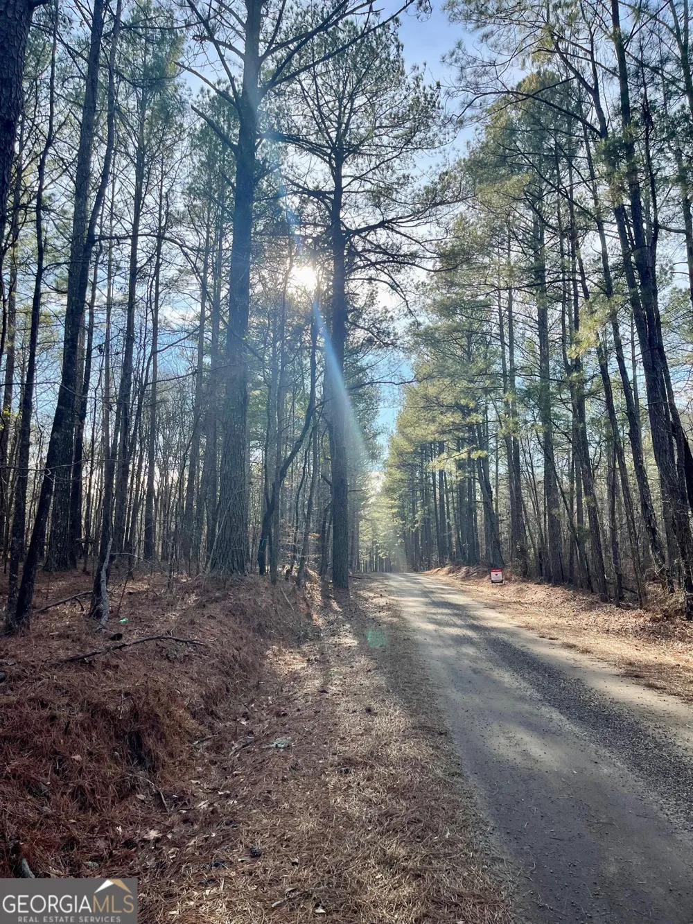 0 Padgett RD Senoia, GA 30276