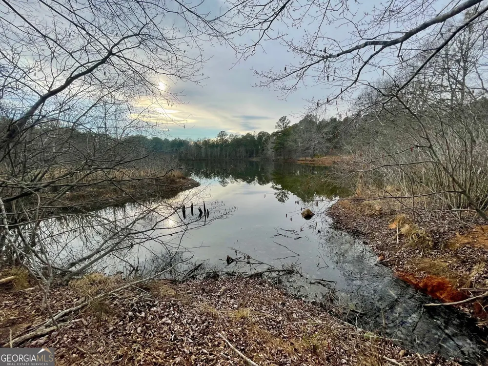 0 Padgett RD Senoia, GA 30276