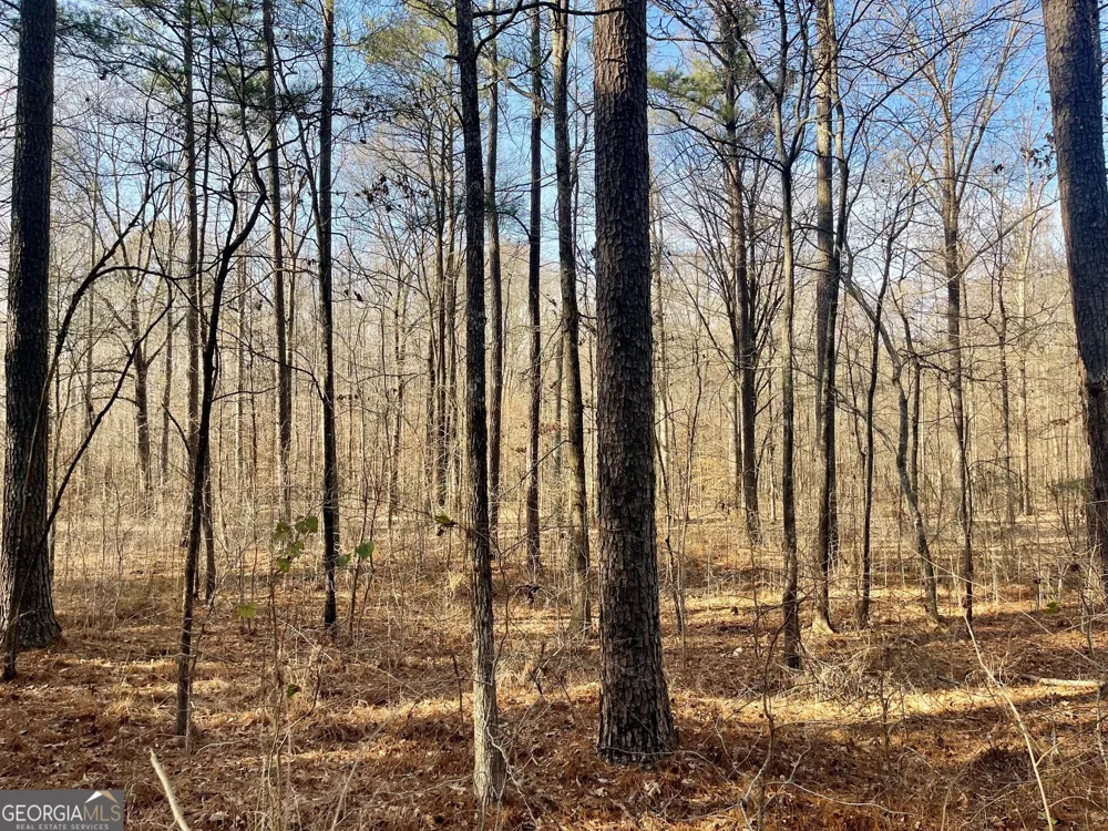 0 Padgett RD Senoia, GA 30276
