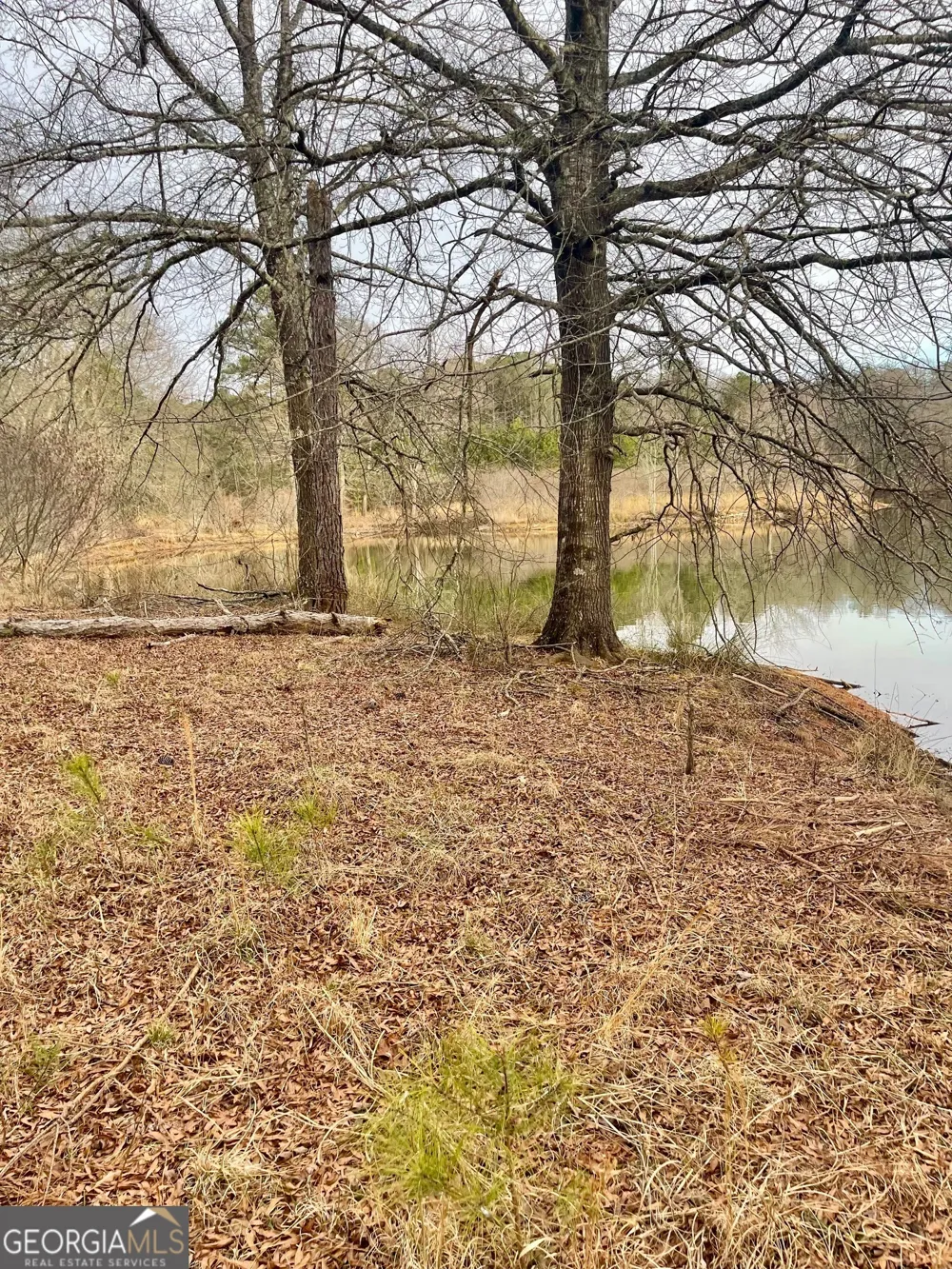 0 Padgett RD Senoia, GA 30276