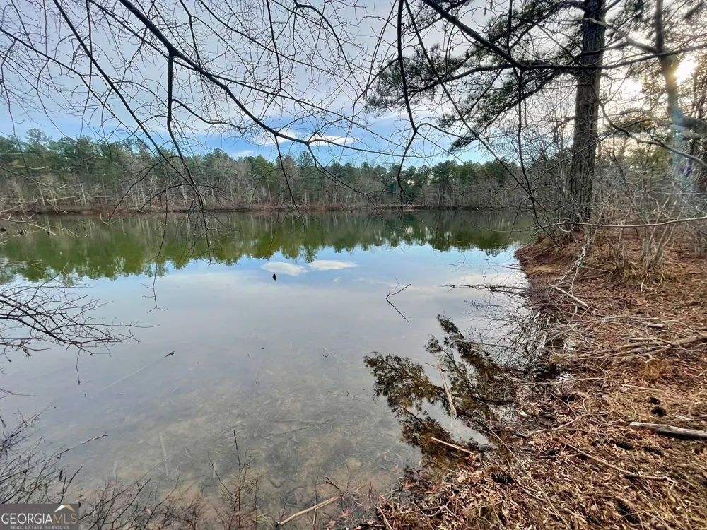 0 Padgett RD Senoia, GA 30276