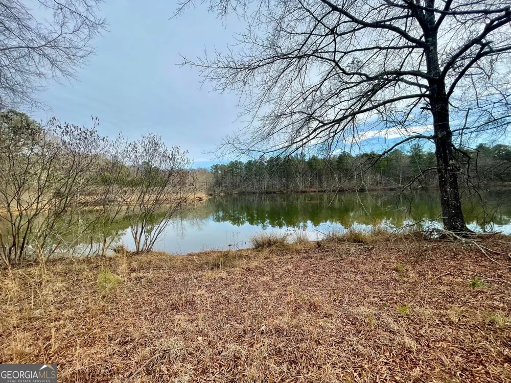 0 Padgett RD Senoia, GA 30276