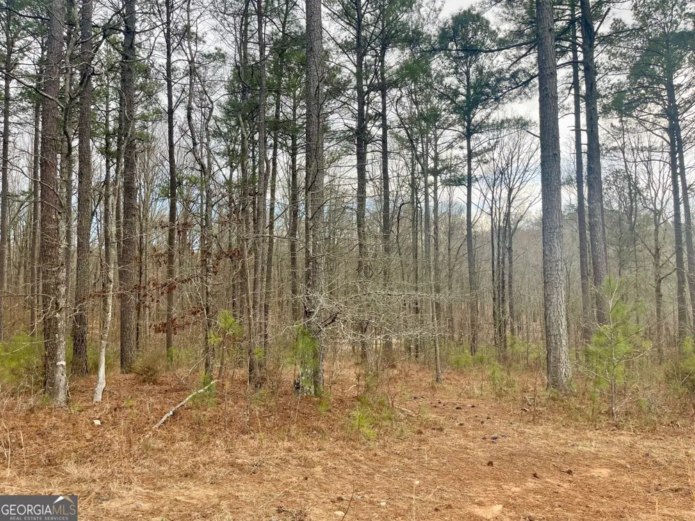 0 Padgett RD Senoia, GA 30276