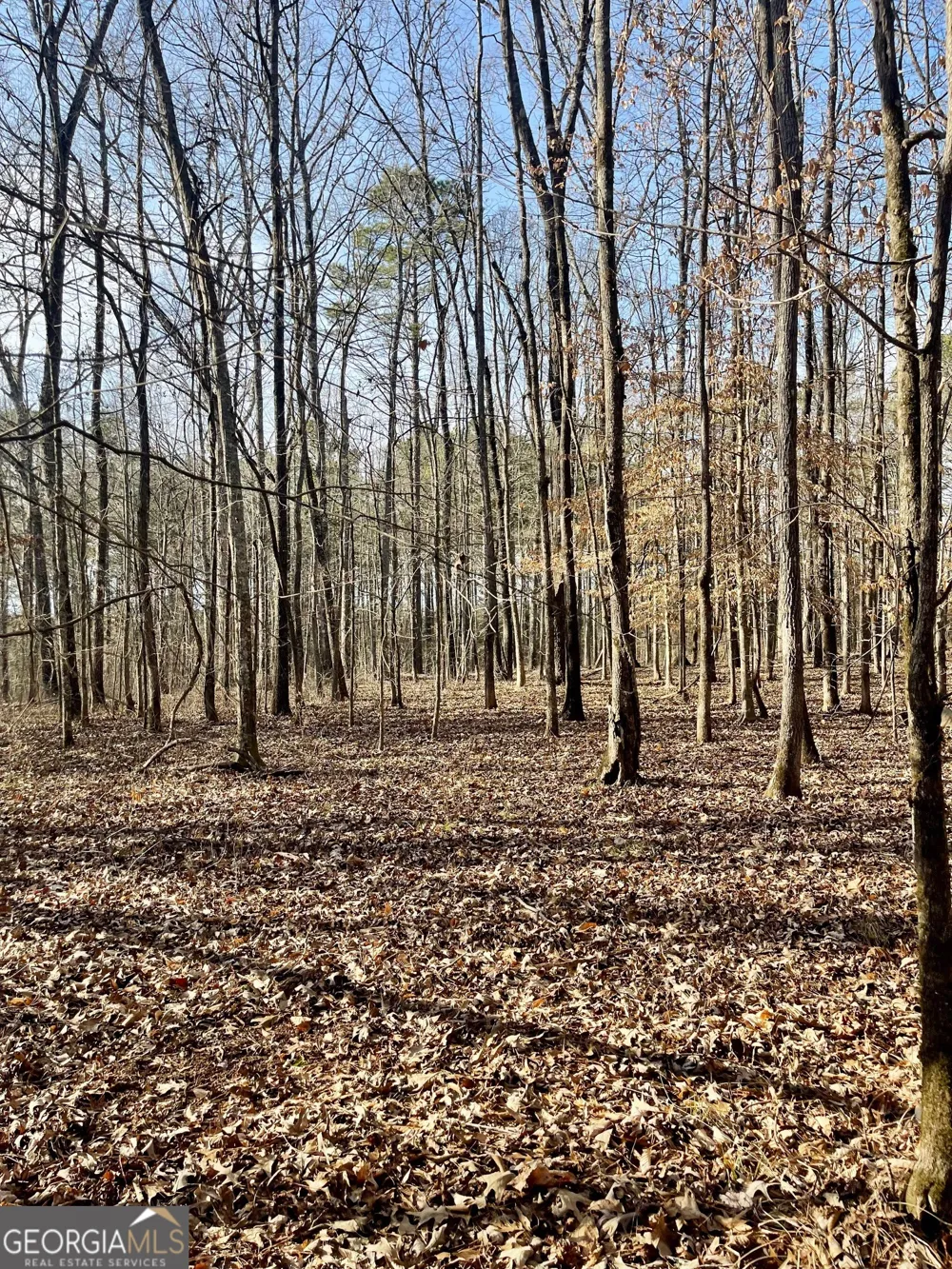 0 Padgett RD Senoia, GA 30276