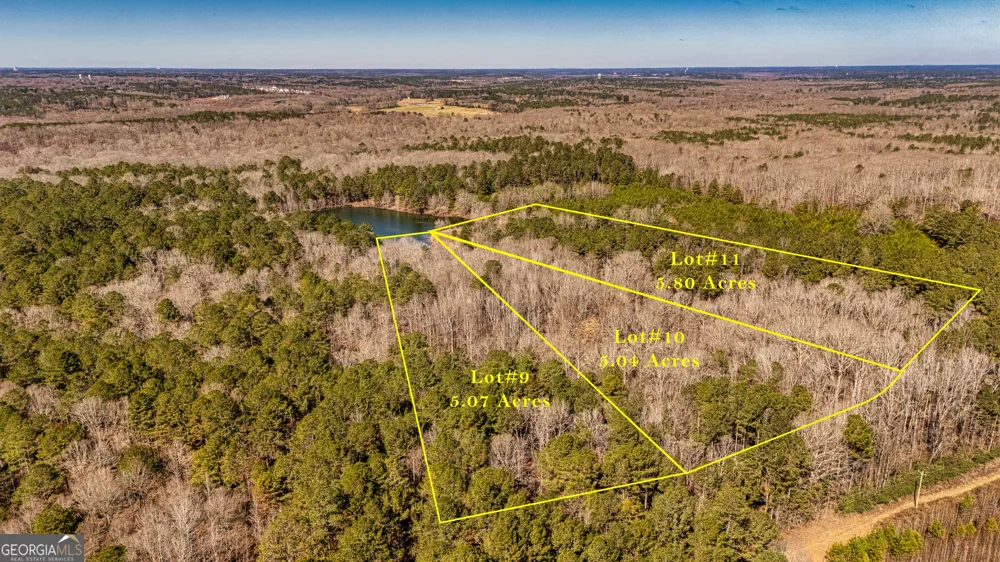 0 Padgett RD Senoia, GA 30276