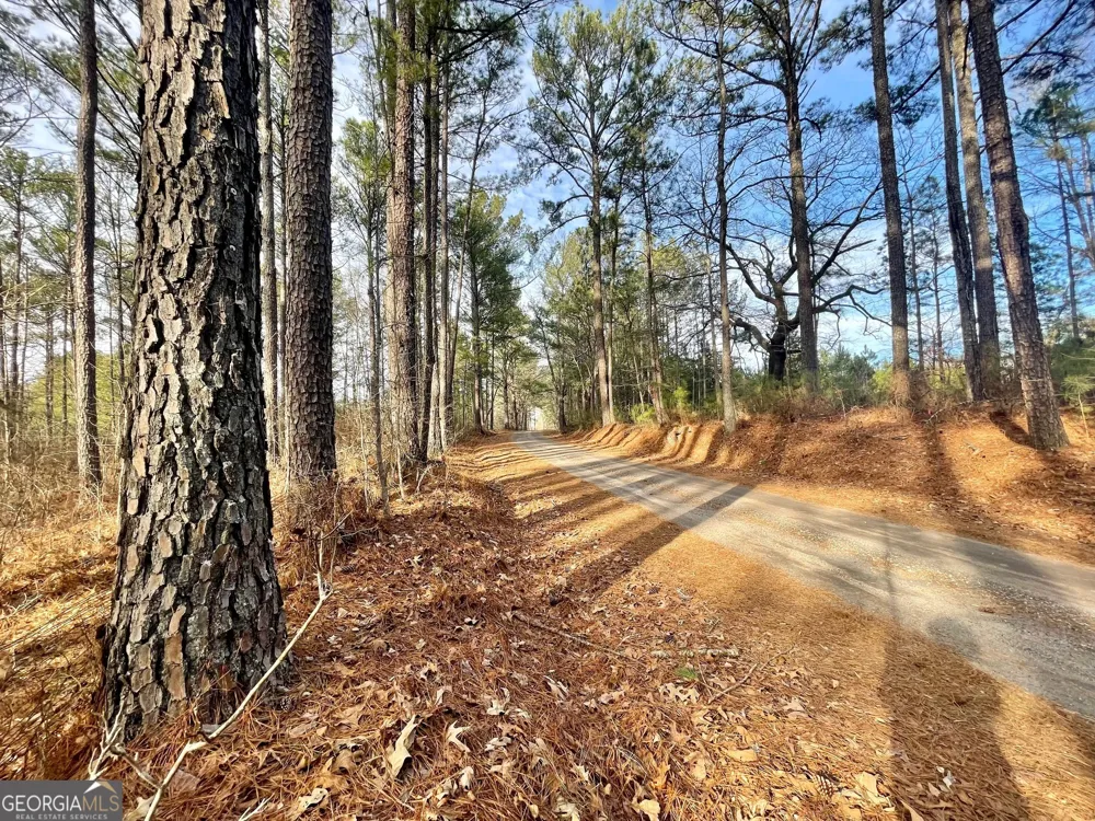 0 Padgett RD Senoia, GA 30276