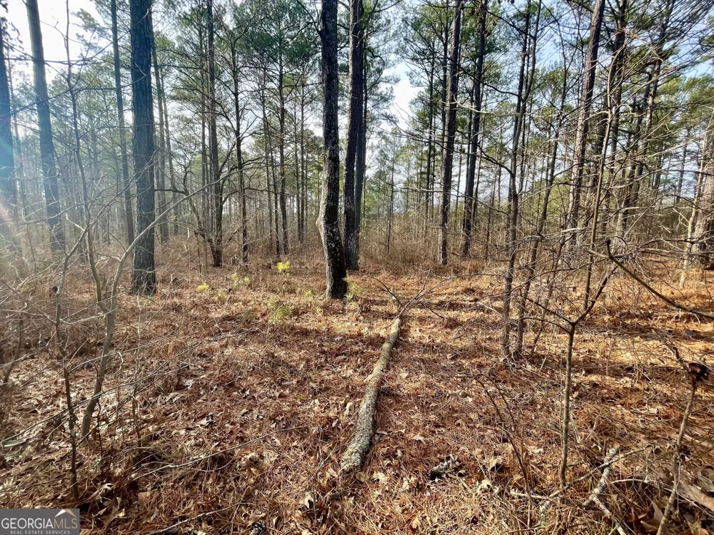 0 Padgett RD Senoia, GA 30276
