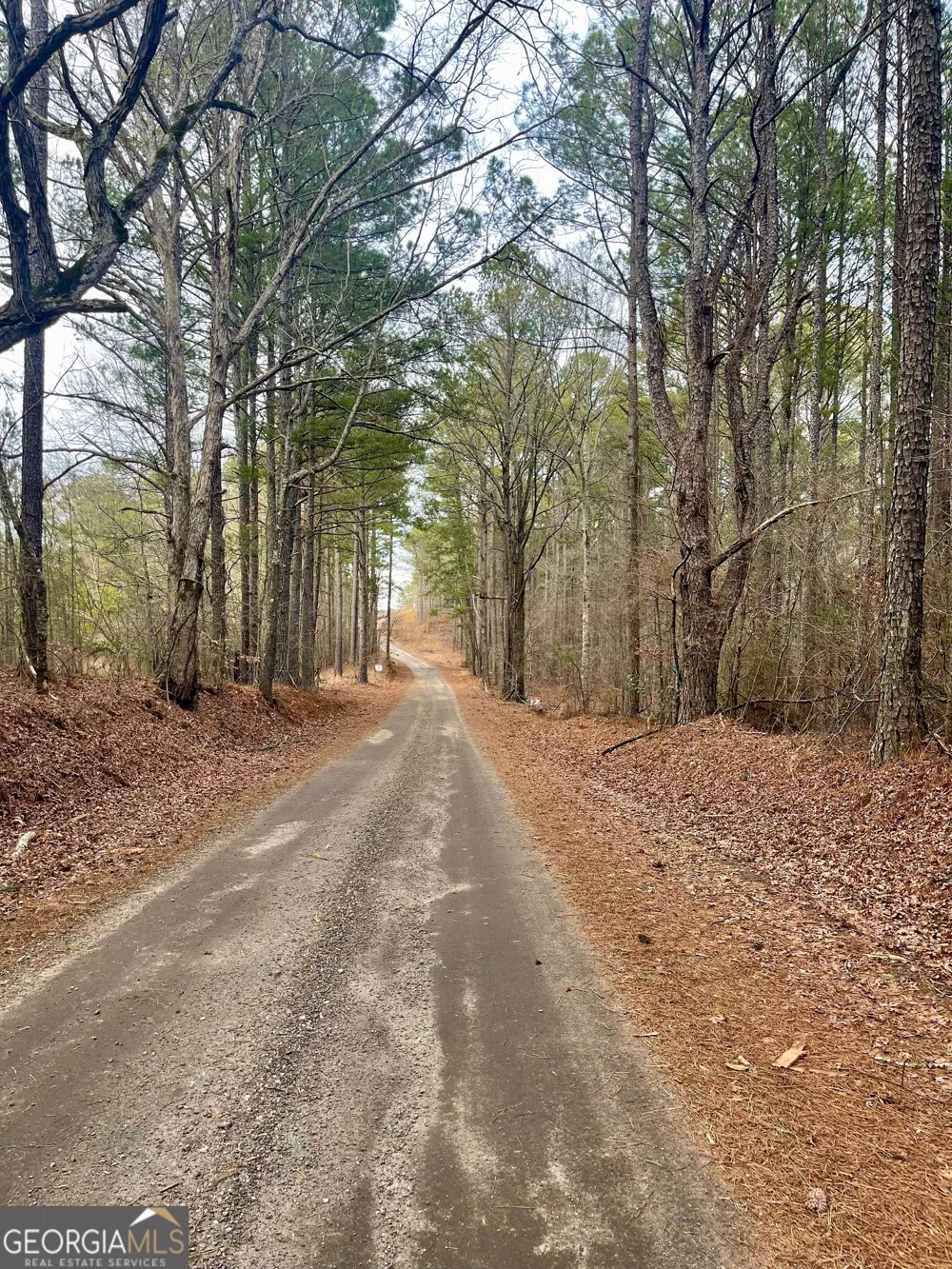 0 Padgett RD Senoia, GA 30276