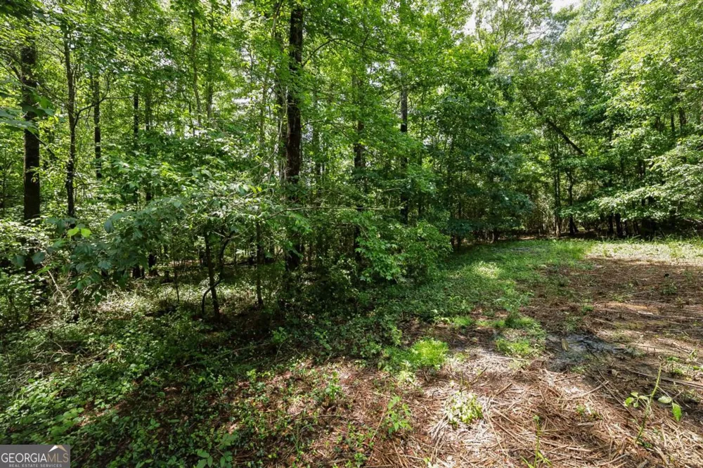 500 Kingston RD Colbert, GA 30628