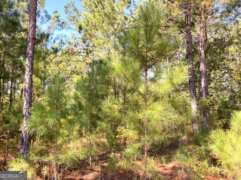 0 Firetower RD Cusseta, GA 31805