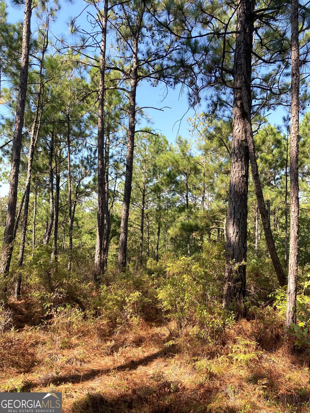 0 Firetower RD Cusseta, GA 31805