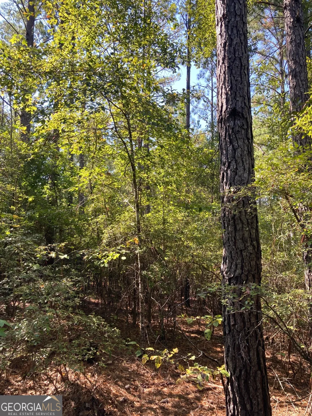 0 Firetower RD Cusseta, GA 31805