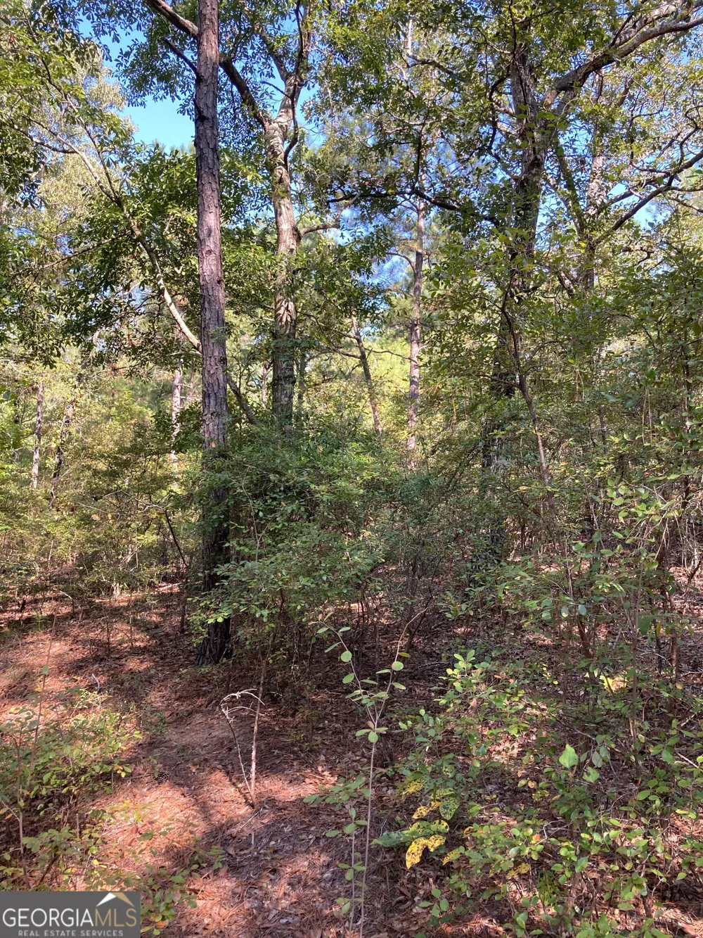 0 Firetower RD Cusseta, GA 31805