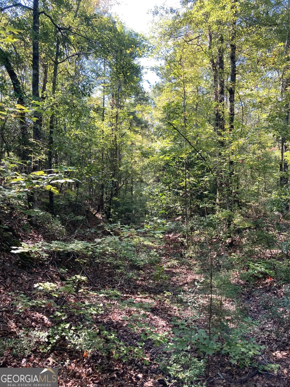 0 Firetower RD Cusseta, GA 31805