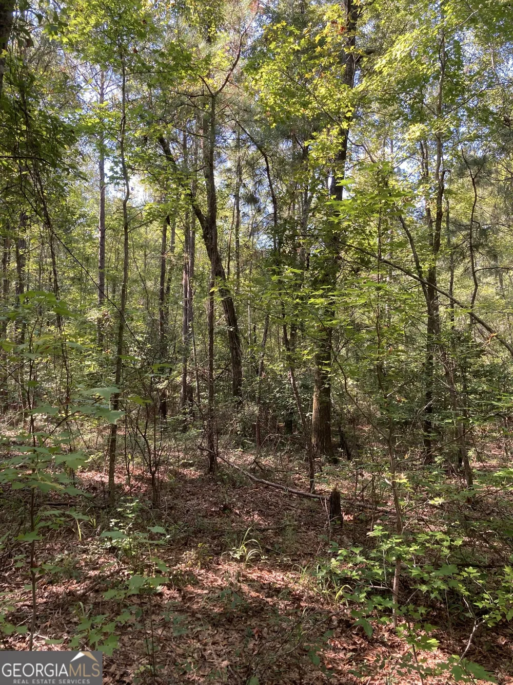 0 Firetower RD Cusseta, GA 31805