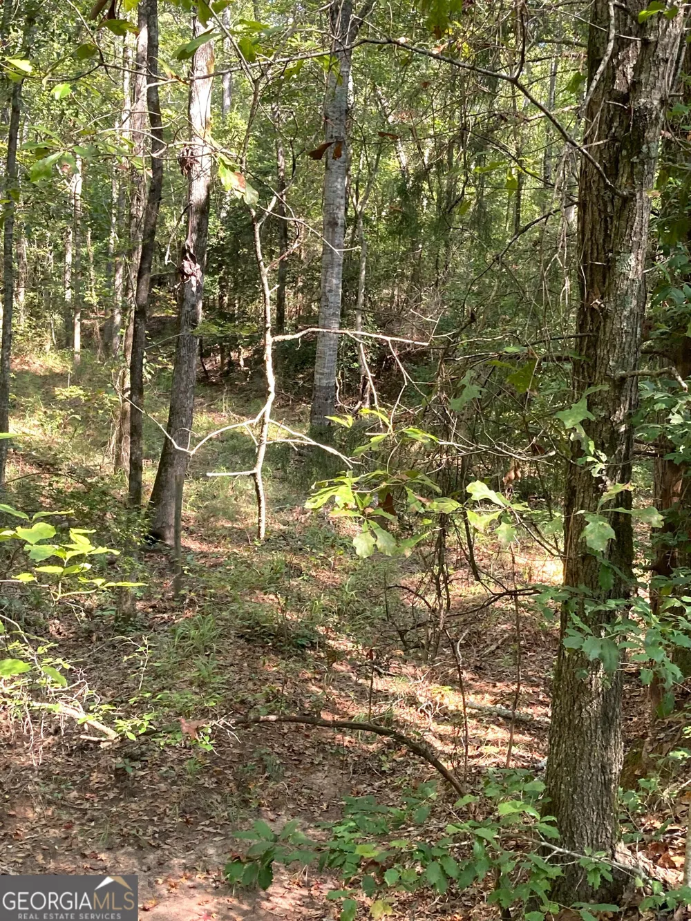 0 Firetower RD Cusseta, GA 31805