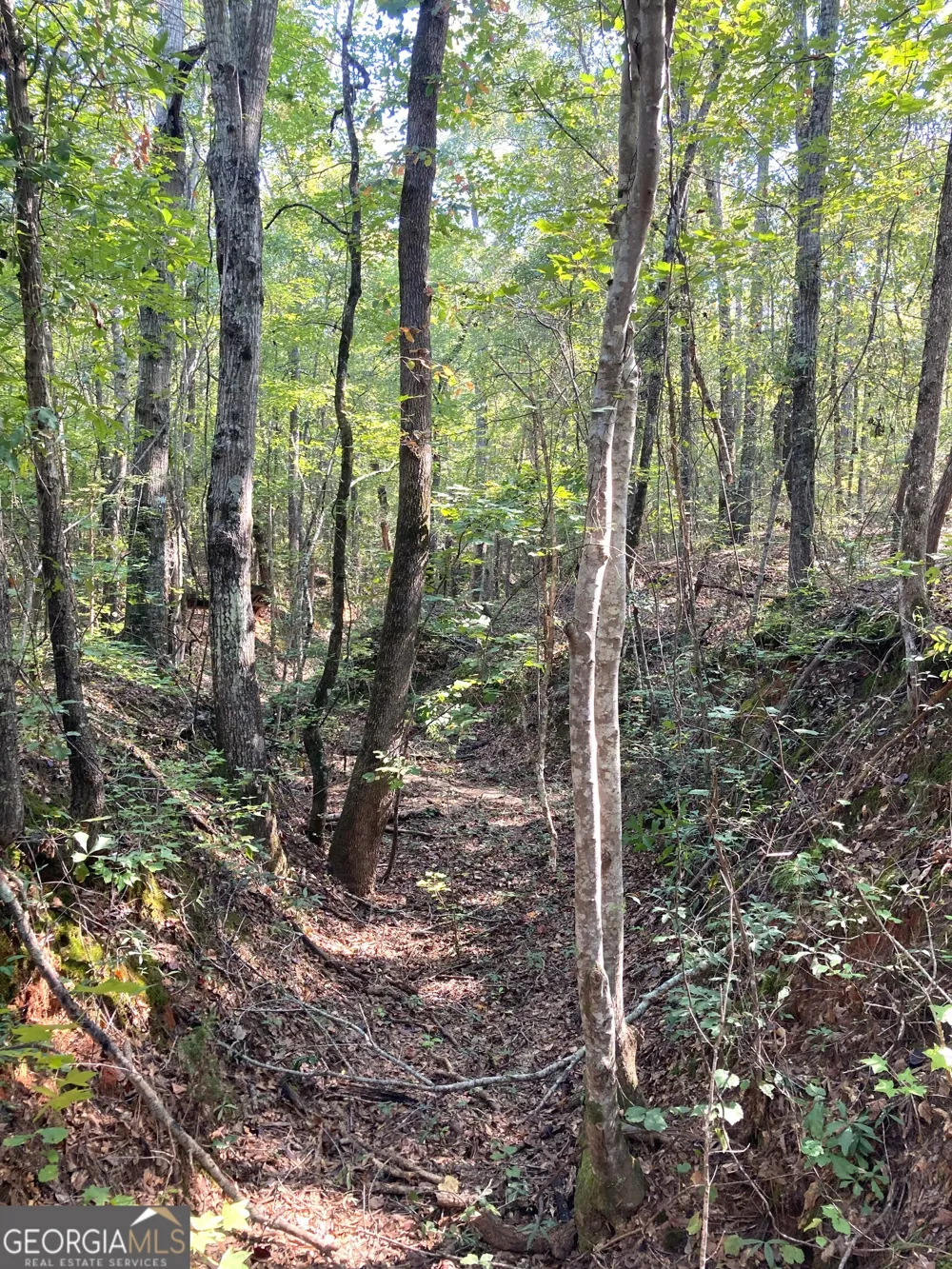 0 Firetower RD Cusseta, GA 31805