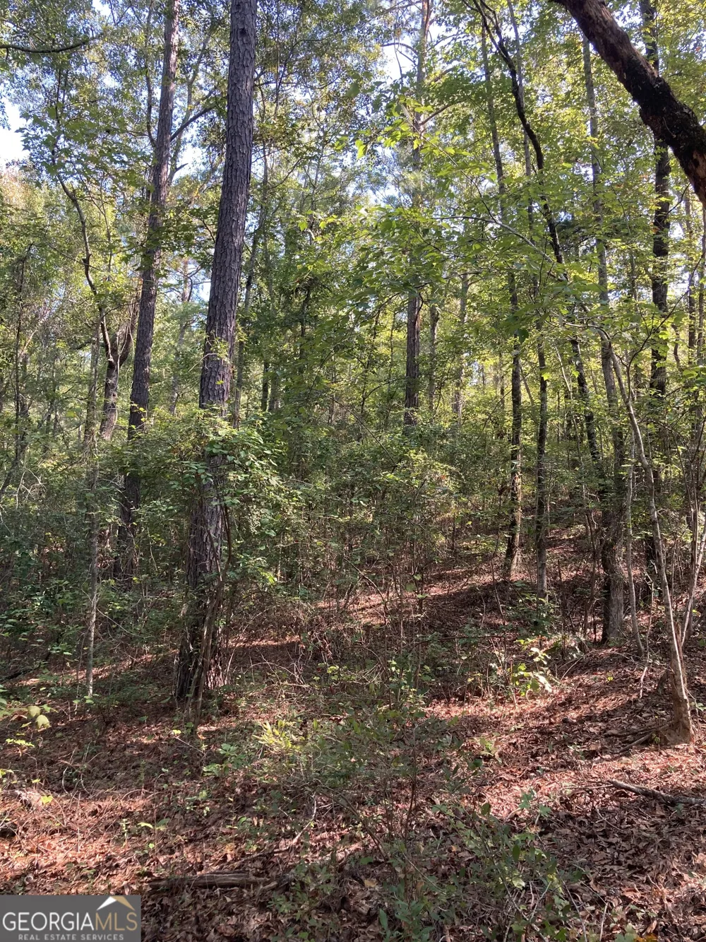 0 Firetower RD Cusseta, GA 31805