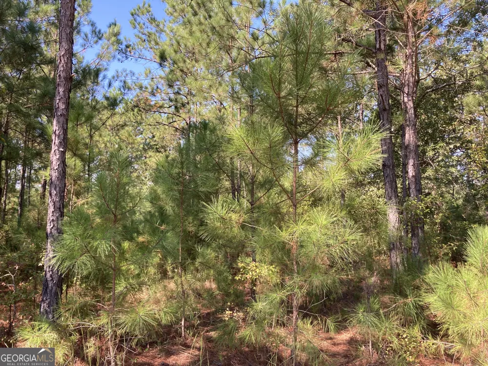0 Firetower RD Cusseta, GA 31805