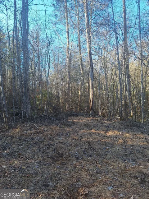 0 Bent Wood LN