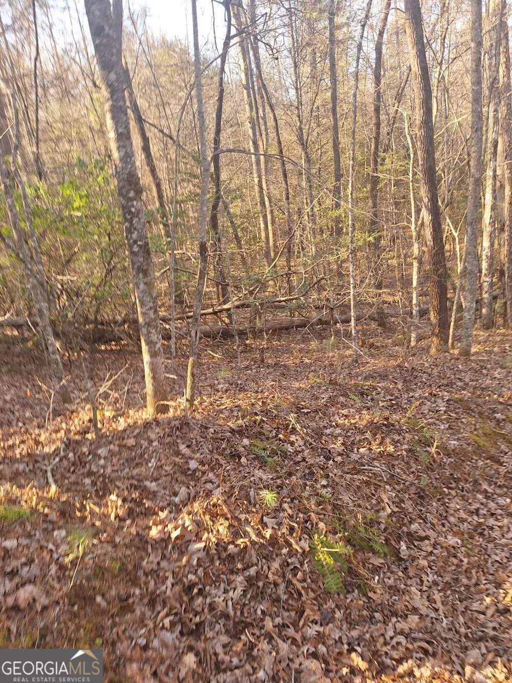 0 Bent Wood LN Blue Ridge, GA 30513
